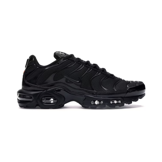 Nike TN negra