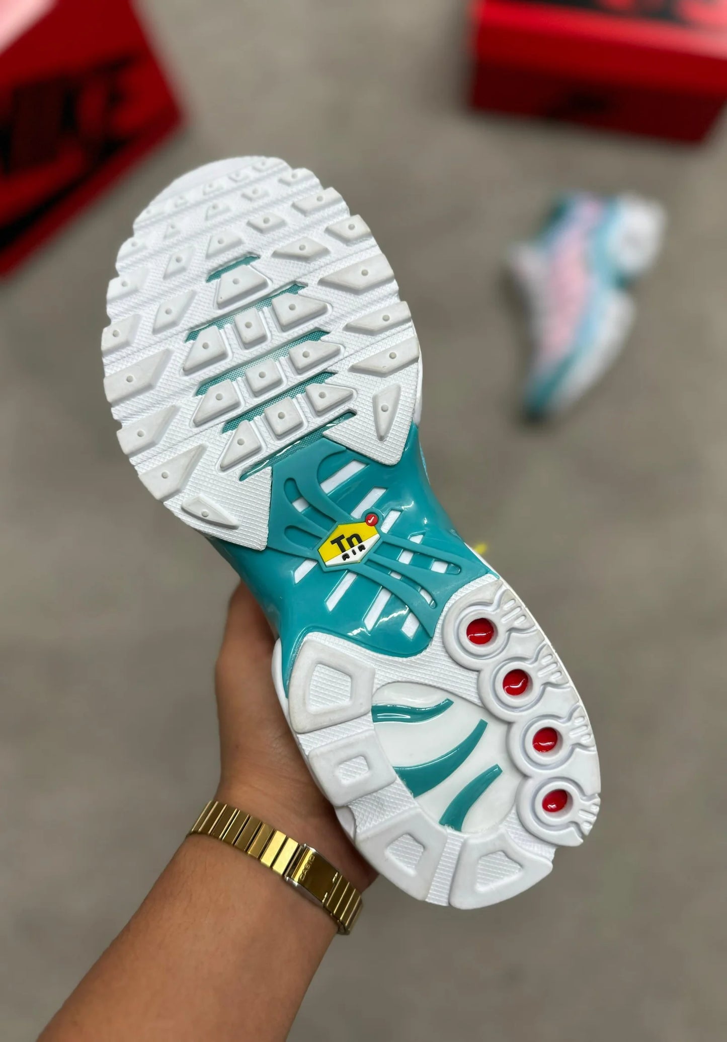 Nike TN verde y rosa